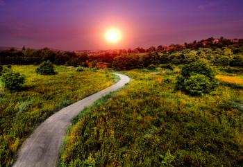 Wallpaper Pathway, Bright sun, Summer, HD, Nature, #2654