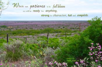 Patience in Full Bloom