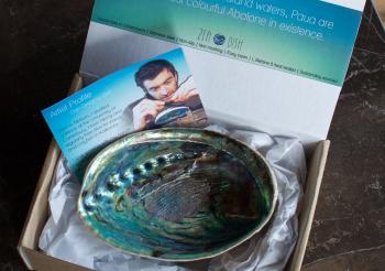 Zea - Paua Soap Dish – Country Trading Co.