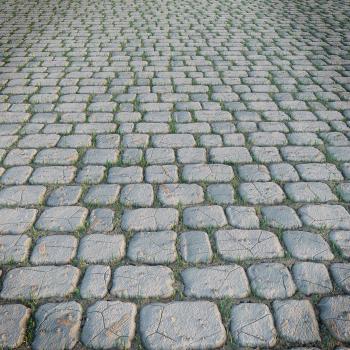3D asset Paving stone | CGTrader