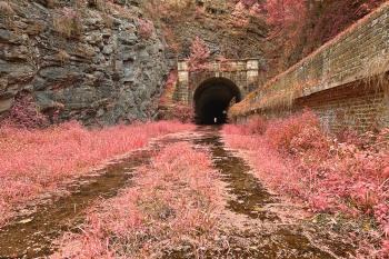 Paw Paw Tunnel - Pink Netherworld HDR