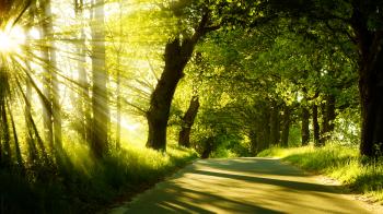 Finding God's peace in nature | mycoffeeandmyblog