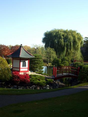 Peaceful Asian Garden
