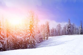 Winter: Beautiful Beauty Time View Amazing Winter Tree Fence Clouds ...