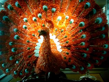 Peacock Coral Statue behind glass