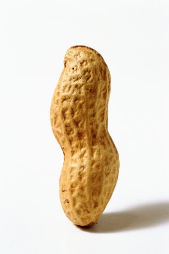 Peanut Allergies May be Prevented With Peanuts | Time