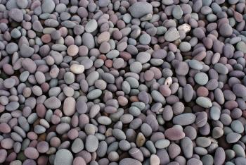 Pebble - Wikiwand