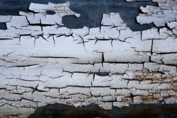 Peeling Paint Texture Picture | Free Photograph | Photos Public Domain