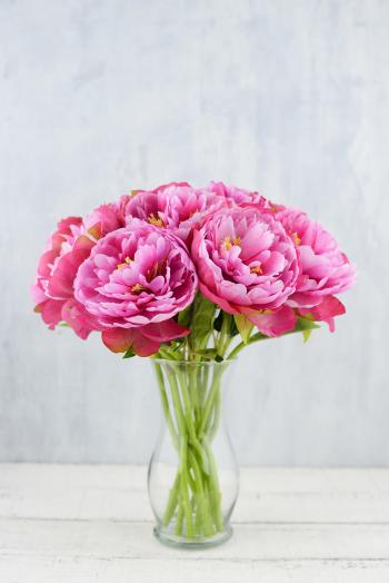 12 Perfect Pink Peony Flowers 13"