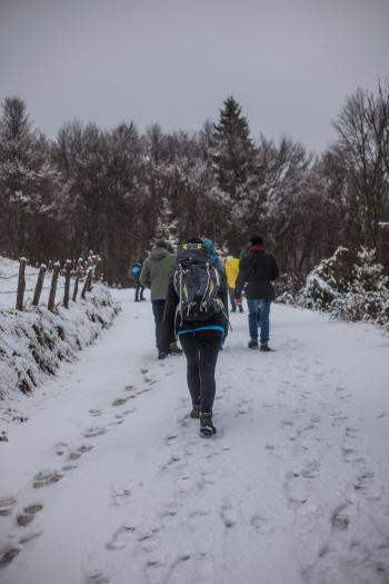 People Walking on Snowy Road during Winter