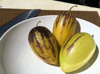 pepino melon | Keep It Up, David!
