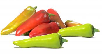 Clarabel F1 Hybrid Conical Pepper - Allied Botanical Corporation