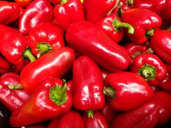 Super Shepherd Sweet Pepper, 0.3 g : Southern Exposure Seed Exchange ...