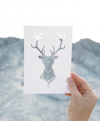 Person Holding Reindeer Artwork