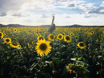 Person in Blue Shirt on Sunflower Field Photo Shot