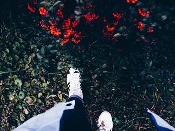 Person in White Sneakers on Green Grass Near Flowering Shrub