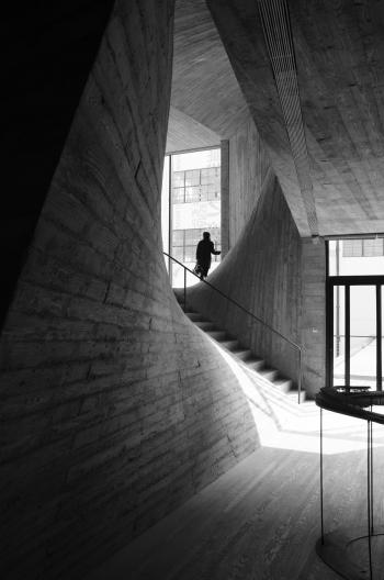 Person Standing Near Window Inside Building Near Stairs Grayscale Photo