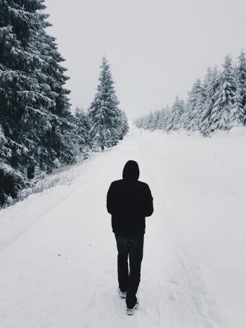Person Wearing Black Hoodie While Walking on Snow Covered Road Near Pine Trees