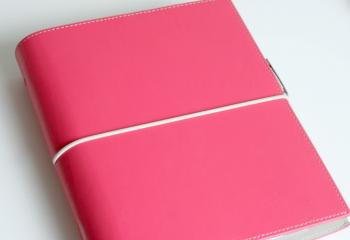 Domino Filofax Personal Organiser Archives -