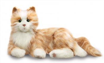 Companion Pet Cat | Companion Pet Products – Ageless Innovation LLC