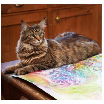 Children With Autism Can Become More Social With A Cat By Their Side