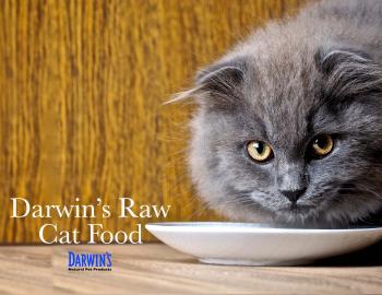 Raw Cat Food - Darwin's Pet Food