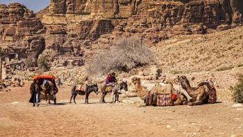 Best tips for travelling to Petra, Jordan - Two Penguins One Dream