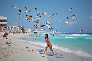 Photo of a Woman Under Flying Seagulls