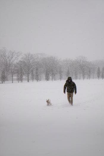 Photo of Man Wearing Black Jacket and Pants Walking on Snow