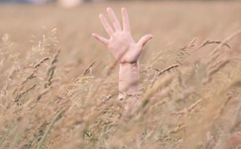 Photo of Person's Right Hand in Field