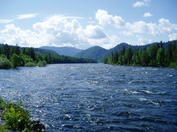 Your Body is a River of Water - Brain and Body Solutions