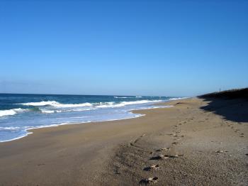 File:CanaveralNationalSeashore1.jpg - Wikimedia Commons