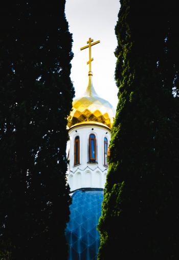 Photo of the Church Between Two Plants