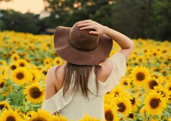 Photo of Woman in a Sunflower Field