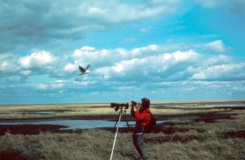 File:Nature photographer photographing animal in wild.jpg ...