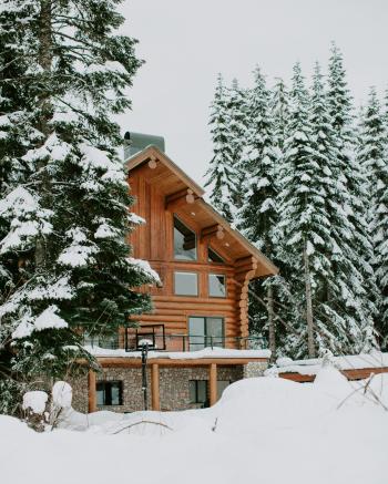 Photography of Brown House Surrounded by Trees Covered by Snow