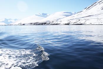 Photography of Calm Body of Water With Glacier Mountain