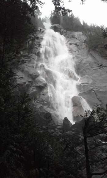 Photography of Nature Falls Near Forest