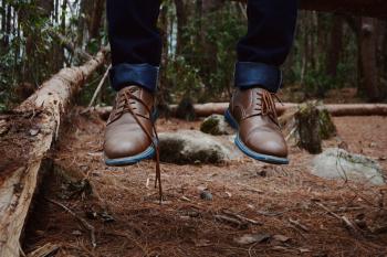Photography of Person Wearing Brown Leather Shoes Near Brown Log on Green Forest during Daytime