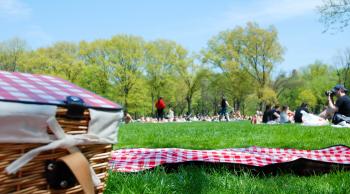 Upicnic | The smart way to picnic.