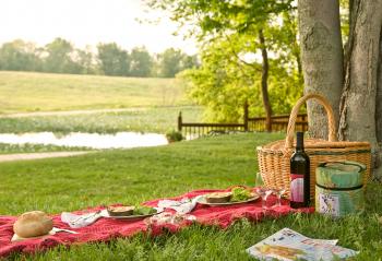 Country picnic | Pamper-Her-Friday by Rg2®
