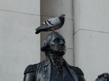 some days you are the pigeon | polysyllabic profundities