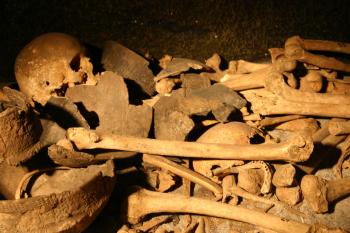 Pile of bones and skulls