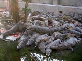 Touring the Mekong Delta (a.k.a Getting from Ho Chi Minh to Cambodia ...
