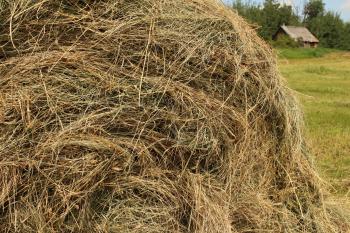 Pile Of Hay Farm Free Stock Photo - Public Domain Pictures