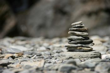 rocks piled and roots pushed - ali's american adventures