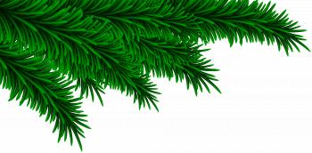 Christmas Pine Branches Decorating PNG Clip Art Image | Gallery ...