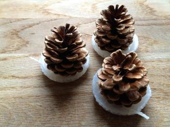 DIY PINE CONE FIRELIGHTERS | Ellie Tennant