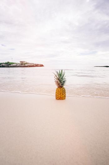 Pineapple Fruit on Seashore during Daytime