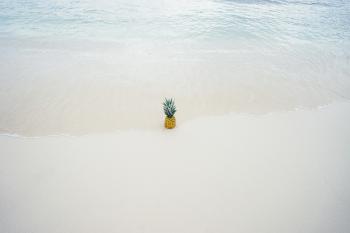 Pineapple in the Middle of the Seashore